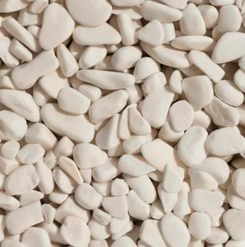 Texture Stock Photos