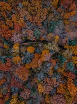 Texture Stock Photos