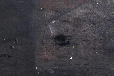 Texture Stock Photos