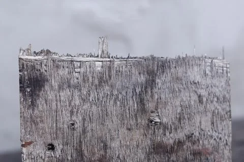 Texture Stock Photos