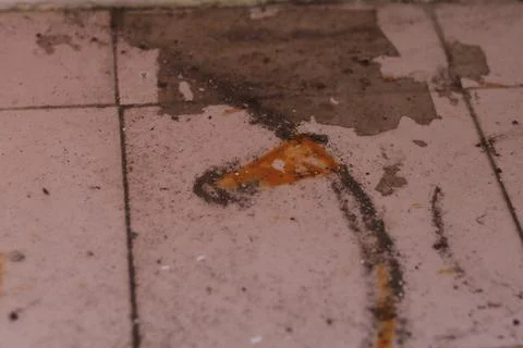 Texture Stock Photos