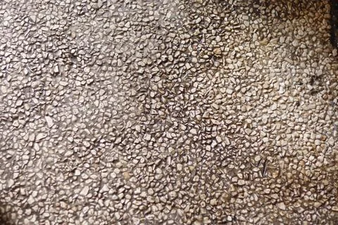 Texture Stock Photos