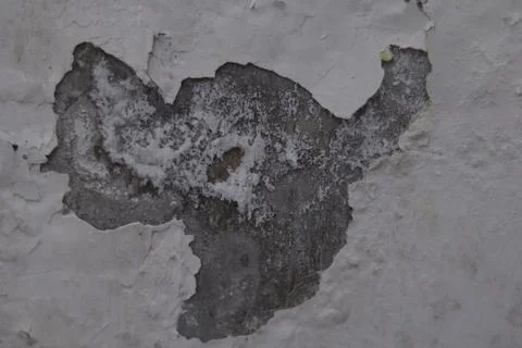 Texture Stock Photos