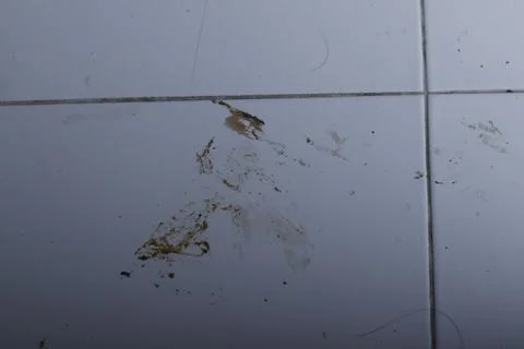 Texture Stock Photos