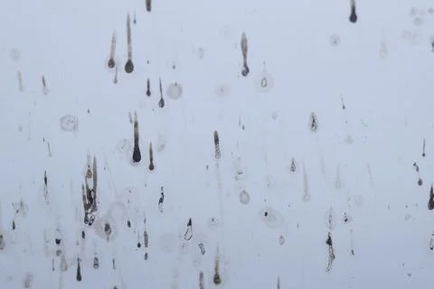 Texture Stock Photos