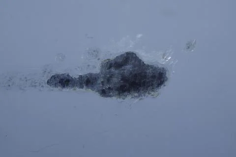 Texture Stock Photos