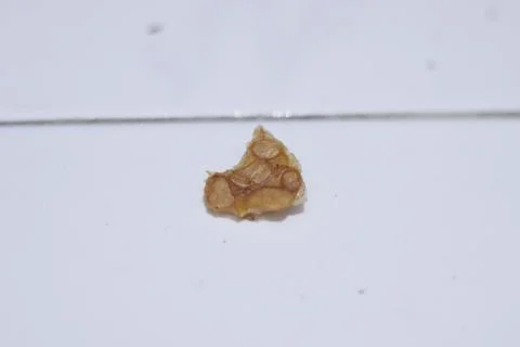 Texture Stock Photos