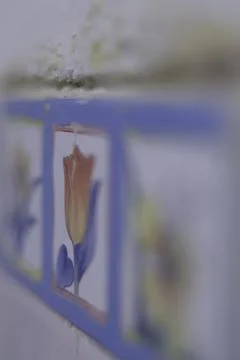 Texture Stock Photos