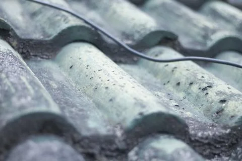 Texture Stock Photos