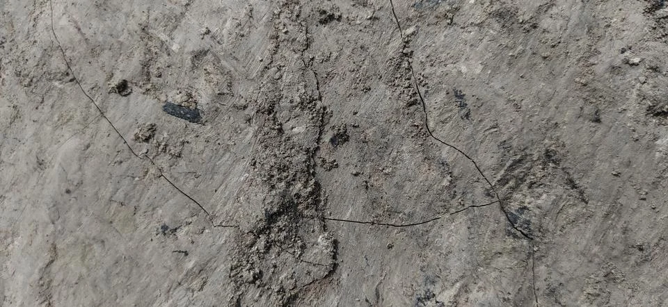 Texture Stock Photos