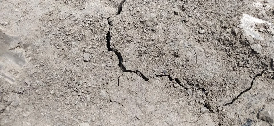 Texture Stock Photos