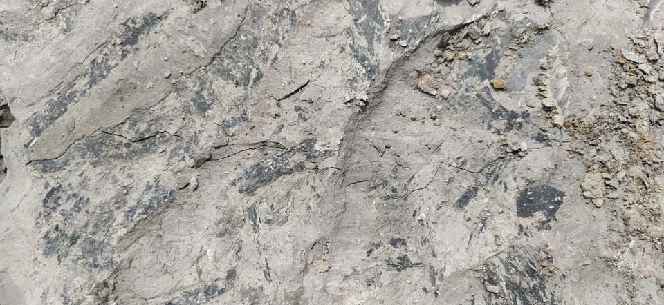 Texture Stock Photos
