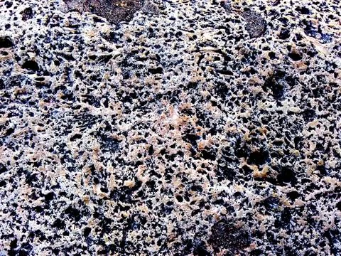 Texture photo: eroded stone Stock Photos