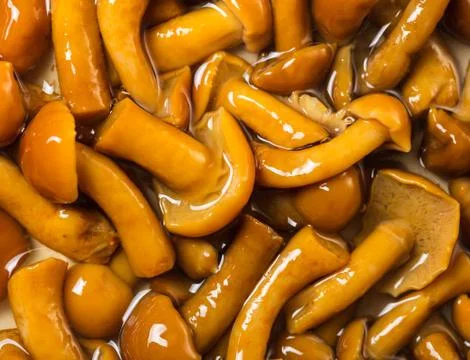 Texture of pickled mushrooms closeup Stock Photos