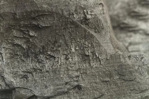 Texture of a piece of charcoal in a close up view Stock Photos
