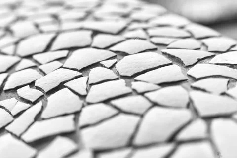 The texture of pieces of egg Stock Photos