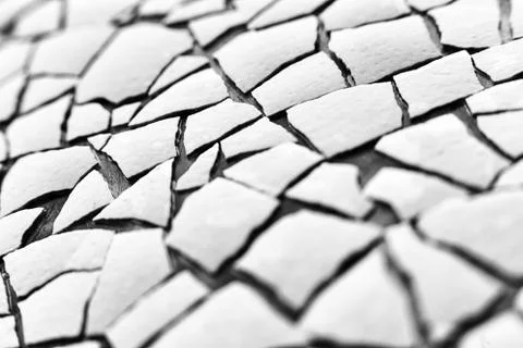 The texture of pieces of egg Foto stock