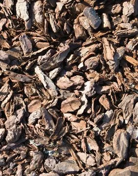 Texture of pieces of pine bark scattered on the ground Stock Photos