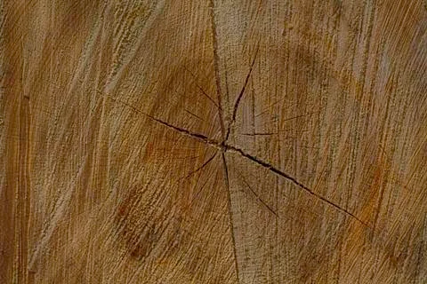 Texture of pine wood Stock Photos