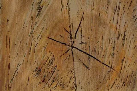 Texture of pine wood Stock Photos