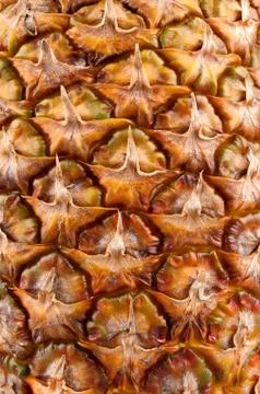 Texture of pineapple Stock Photos