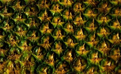 Texture of pineapple skin. Patterned fruits background. Stock Photos