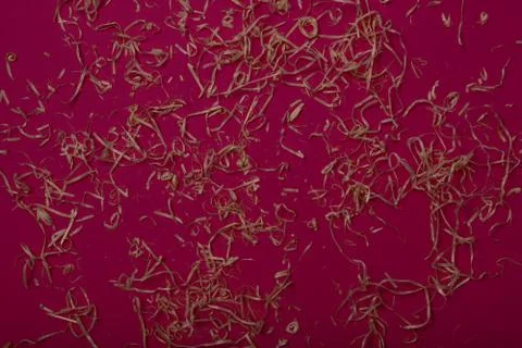 Texture with pink background top view Stock Photos