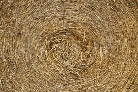 The texture of the pressed straw roll close-up Foto stock