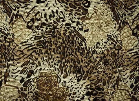 Texture of print fabric striped leopard and flower for background Stock Photos
