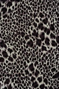 Texture of print fabric striped leopard for background Stock Photos