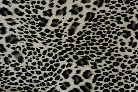 Texture of print fabric striped leopard for background Stock Photos