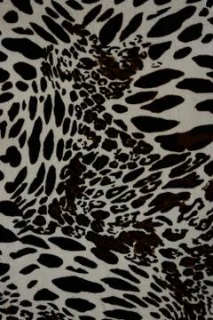 Texture of print fabric striped leopard for background Stock Photos
