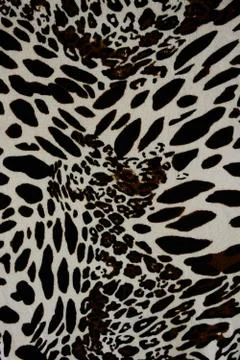 Texture of print fabric striped leopard for background Stock Photos