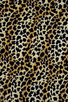Texture of print fabric stripes leopard for background Stock Photos