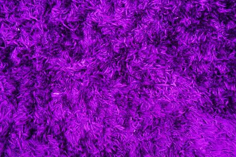 Texture of a purple corner carpet, background, Stock Photos