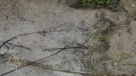 Texture of rain falling on the wet ground Video stock 52680392