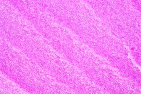 Texture of raspberry salt scrub, closeup. Smudges and strokes with salt Stock Photos