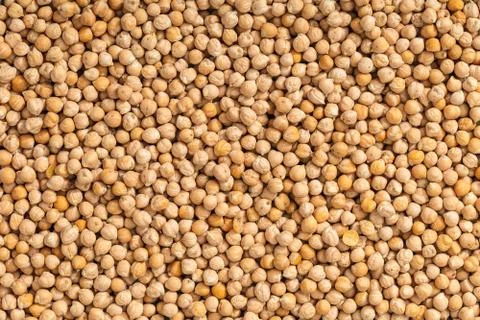 Texture of raw chickpeas close-up Stock Photos