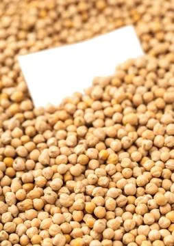 Texture of raw chickpeas close-up Stock Photos