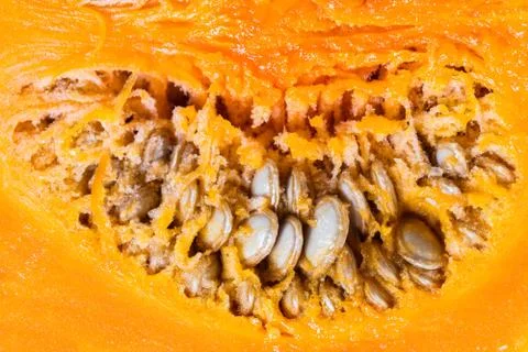 Texture raw cut pumpkin close-up Stock Photos