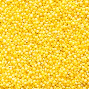 Texture of raw millet closeup Stock Photos