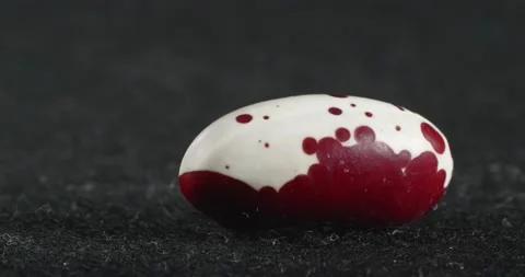 The texture of red beans close-up. Macro legume. Stockbeeldmateriaal 165648540