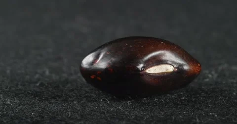 The texture of red beans close-up. Macro legume. Vídeo Stock 165648976