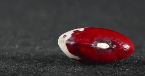 The texture of red beans close-up. Macro legume. Stock Footage 166494909