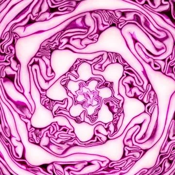 Texture of red cabbage cut Stock Photos