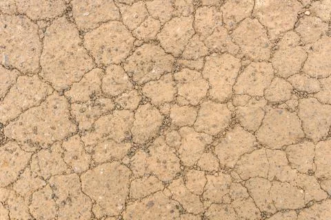 Texture of red dry soil for brackground Stock Photos
