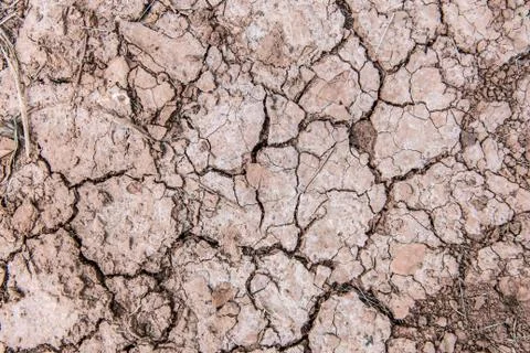 Texture of red dry soil for brackground Foto stock