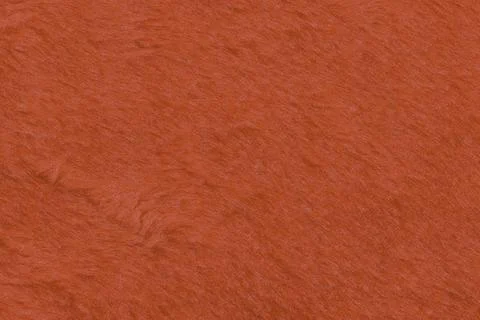 The texture of the red fabric.Santa Claus hat in detail Stock Photos