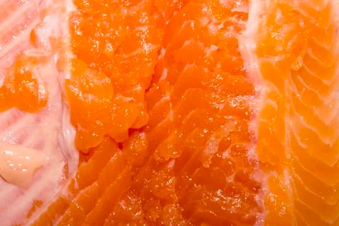 Texture of red fish meat.Background of Trout meat. Stock Photos