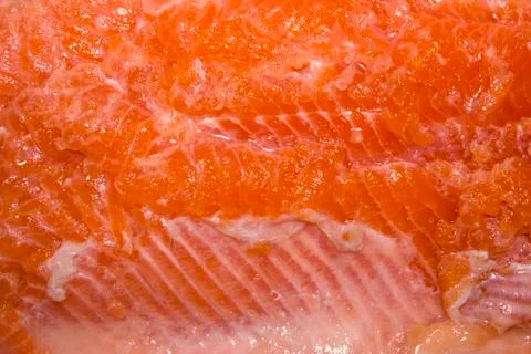 Texture of red fish meat.Background of Trout meat. Stock Photos